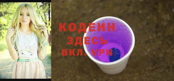 прущий лед Арсеньев