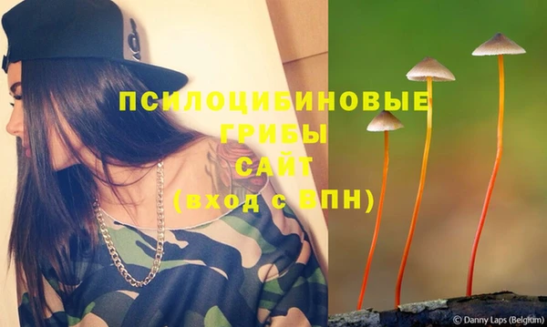 прущий лед Арсеньев