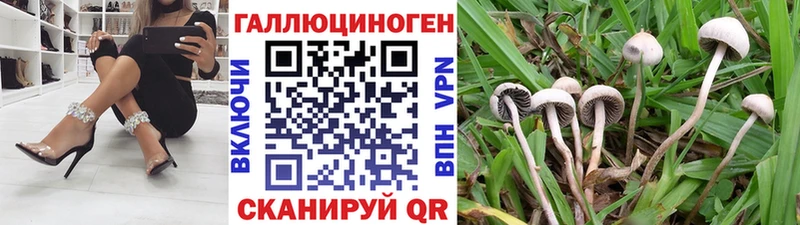 Галлюциногенные грибы MAGIC MUSHROOMS Рыльск